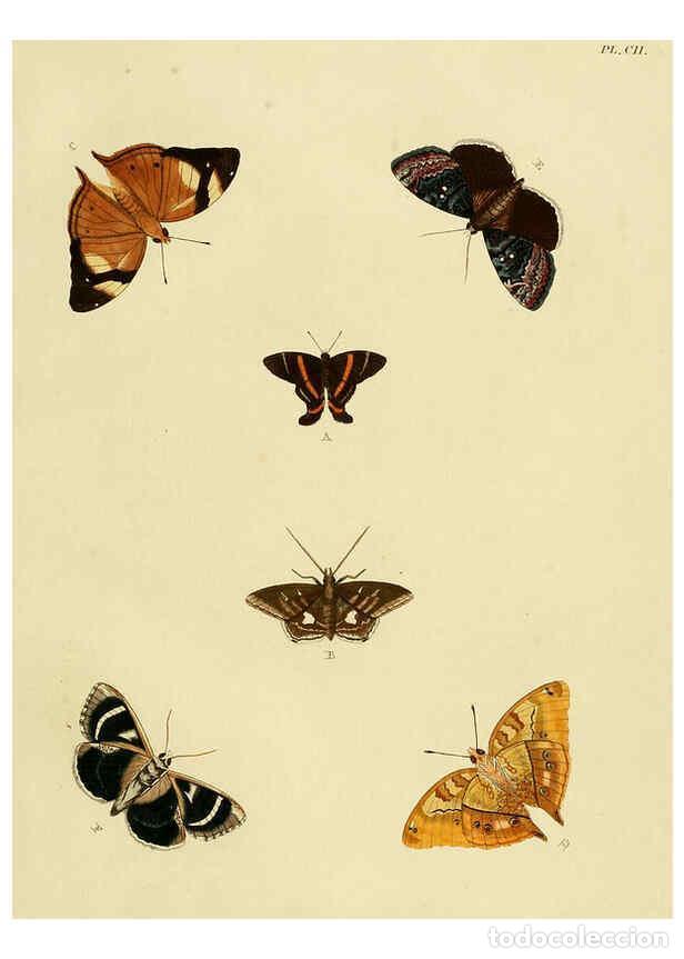 Collection Magazines and Newspapers: Reproducci&oacute;n/Reproduction 6127782140: De uitlandsche kapellen. v.2. A Amsteldam :Chez Barthelmy Wild