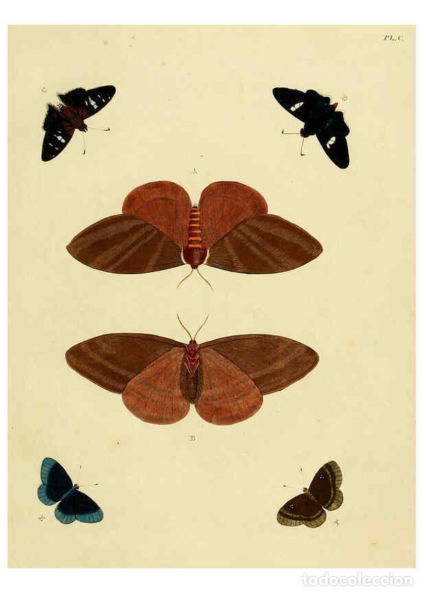 Collection Magazines and Newspapers: Reproducci&oacute;n/Reproduction 6127233687: De uitlandsche kapellen. v.2. A Amsteldam :Chez Barthelmy Wild