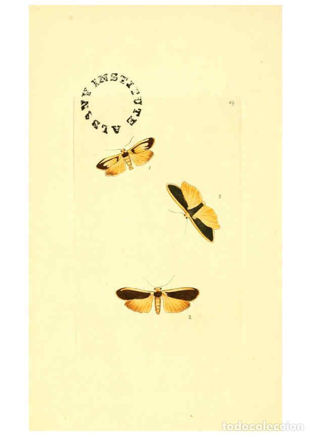 Collection Magazines and Newspapers: Reproducci&oacute;n/Reproduction 6127029669: The zoological miscellany. v.1. London :Printed by B. McMillan