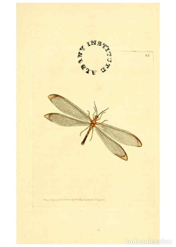 Collection Magazines and Newspapers: Reproducci&oacute;n/Reproduction 6127576264: The zoological miscellany. v.1. London :Printed by B. McMillan