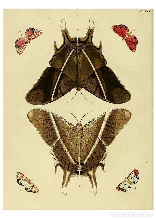 Collection Magazines and Newspapers: Reproducci&oacute;n/Reproduction 6127235703: De uitlandsche kapellen. v.2. A Amsteldam :Chez Barthelmy Wild