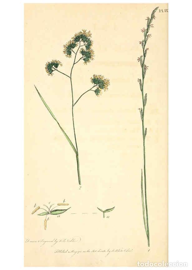 Colecionismo de Revistas e Jornais: Reproducci&oacute;n/Reproduction 6126698107: Thirty-eight plates, with explanations London :J. White,1799 -