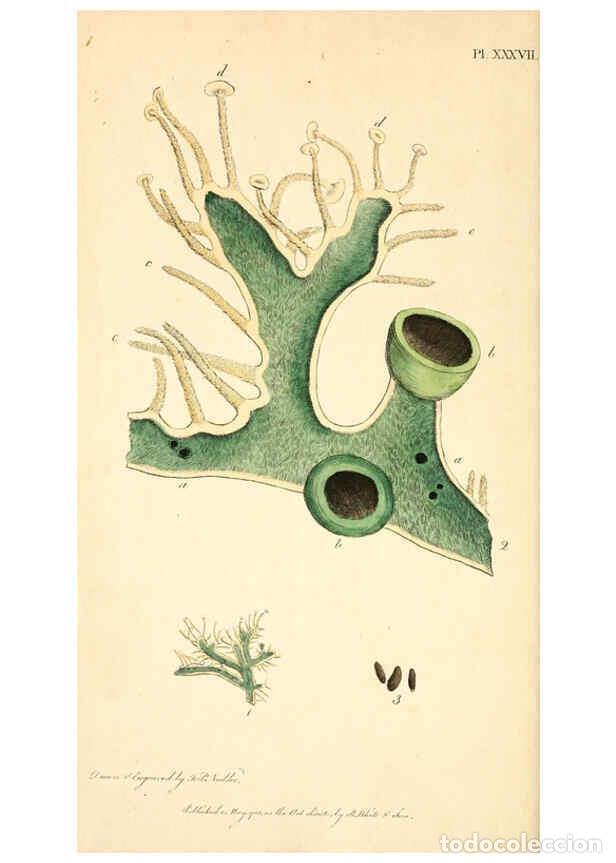 Colecionismo de Revistas e Jornais: Reproducci&oacute;n/Reproduction 6127251922: Thirty-eight plates, with explanations London :J. White,1799 -