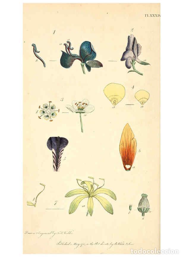 Colecionismo de Revistas e Jornais: Reproducci&oacute;n/Reproduction 6126704761: Thirty-eight plates, with explanations London :J. White,1799 -