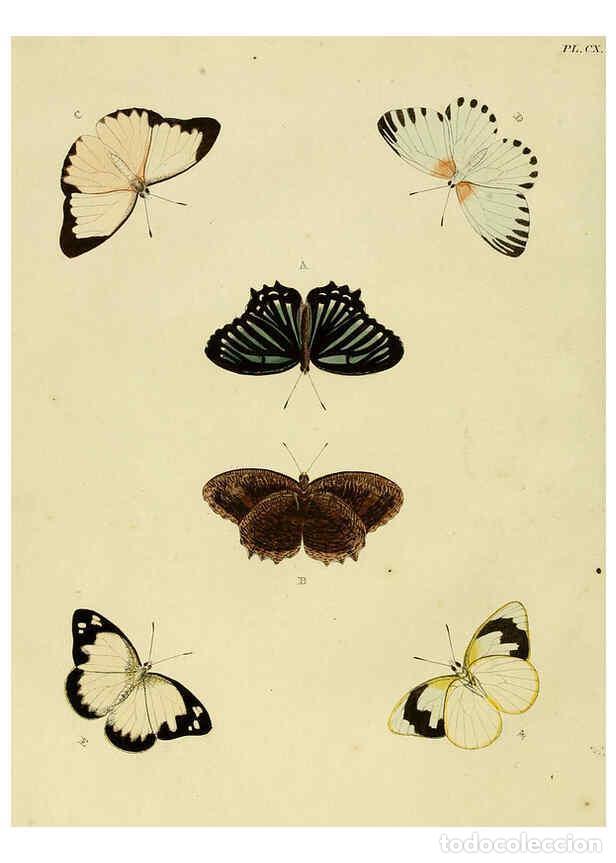Colecionismo de Revistas e Jornais: Reproducci&oacute;n/Reproduction 6127783956: De uitlandsche kapellen. v.2. A Amsteldam :Chez Barthelmy Wild