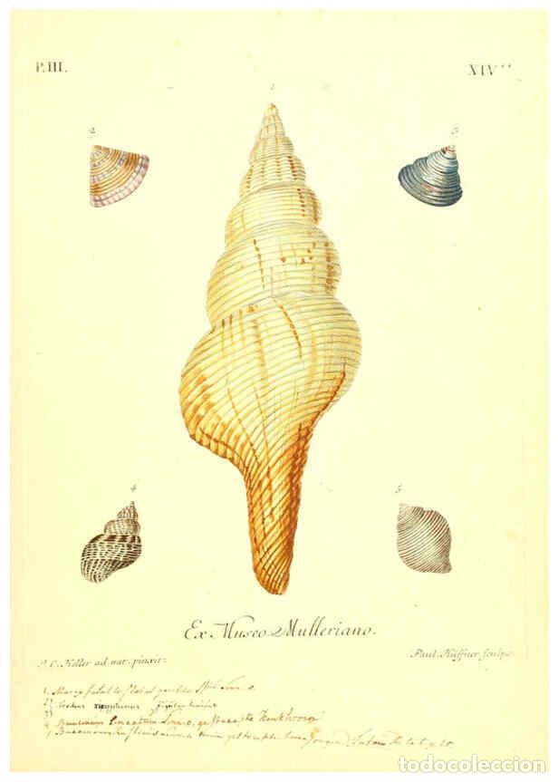 Coleccionismo de Revistas y Peri&oacute;dicos: Reproducci&oacute;n/Reproduction 6096638758: Vergn&uuml;gen der Augen und des Gem&uuml;ths. v.2 atlas. [Nuremberg :17