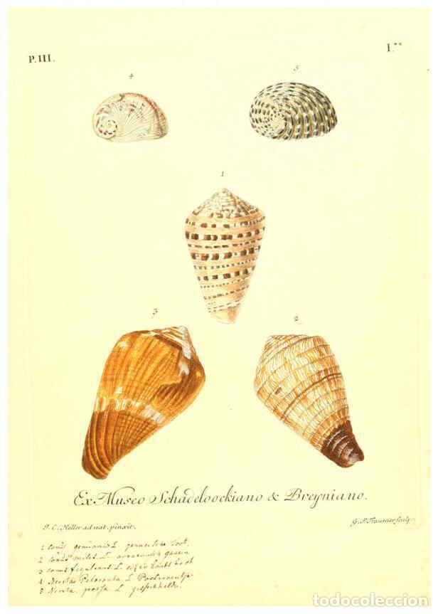 Coleccionismo de Revistas y Peri&oacute;dicos: Reproducci&oacute;n/Reproduction 6096090803: Vergn&uuml;gen der Augen und des Gem&uuml;ths. v.2 atlas. [Nuremberg :17