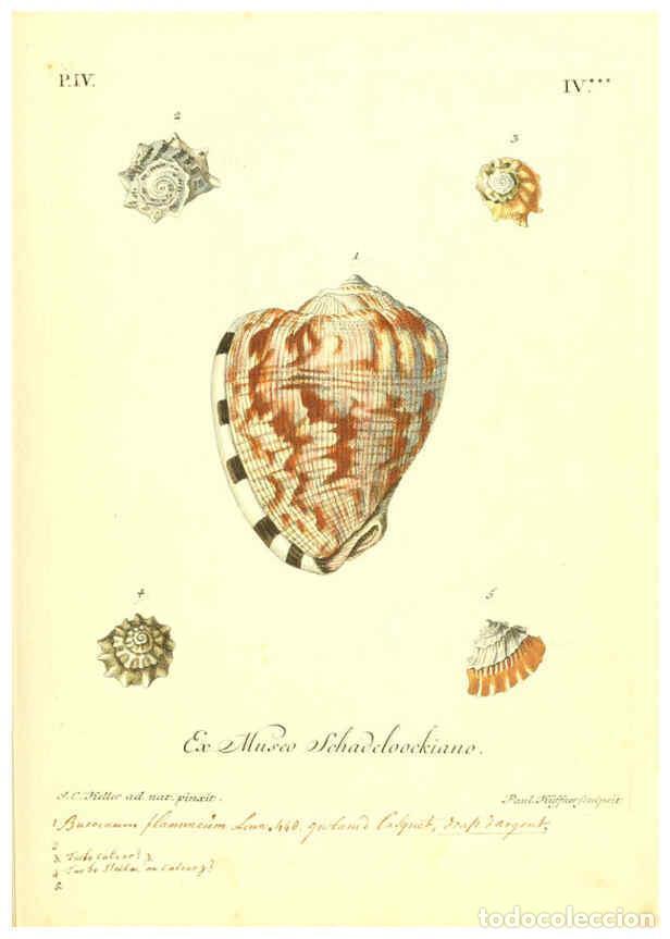 Coleccionismo de Revistas y Peri&oacute;dicos: Reproducci&oacute;n/Reproduction 6096643814: Vergn&uuml;gen der Augen und des Gem&uuml;ths. v.2 atlas. [Nuremberg :17