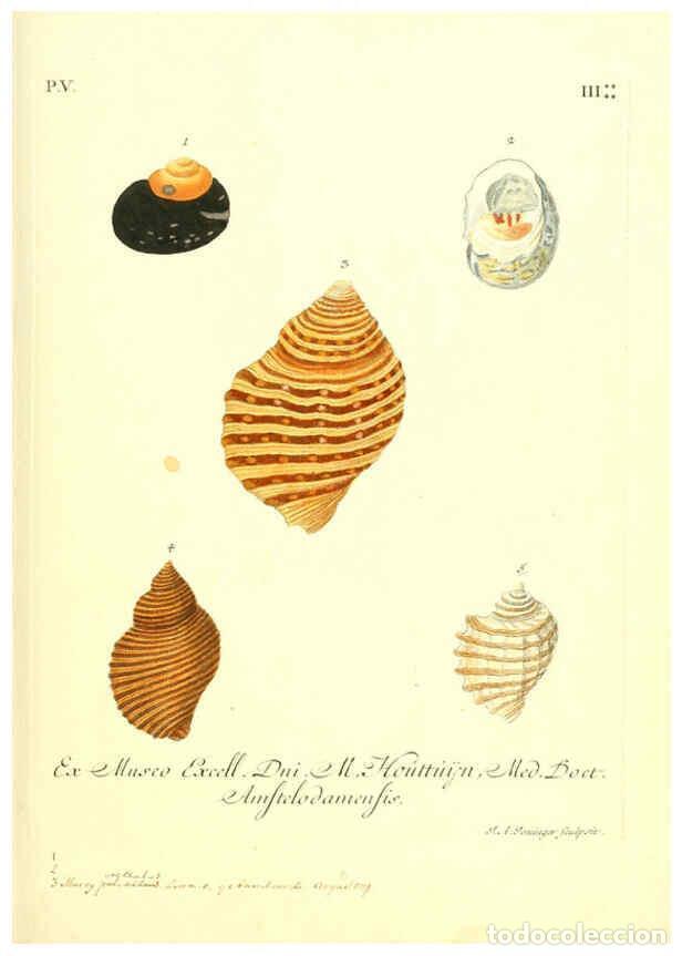 Coleccionismo de Revistas y Peri&oacute;dicos: Reproducci&oacute;n/Reproduction 6096106501: Vergn&uuml;gen der Augen und des Gem&uuml;ths. v.2 atlas. [Nuremberg :17