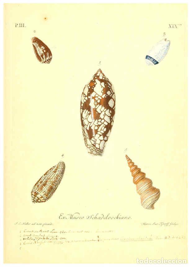 Coleccionismo de Revistas y Peri&oacute;dicos: Reproducci&oacute;n/Reproduction 6096095679: Vergn&uuml;gen der Augen und des Gem&uuml;ths. v.2 atlas. [Nuremberg :17