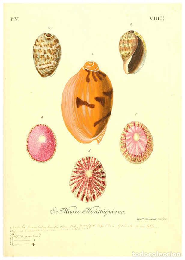 Coleccionismo de Revistas y Peri&oacute;dicos: Reproducci&oacute;n/Reproduction 6096107877: Vergn&uuml;gen der Augen und des Gem&uuml;ths. v.2 atlas. [Nuremberg :17