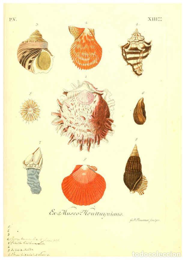 Coleccionismo de Revistas y Peri&oacute;dicos: Reproducci&oacute;n/Reproduction 6096653844: Vergn&uuml;gen der Augen und des Gem&uuml;ths. v.2 atlas. [Nuremberg :17