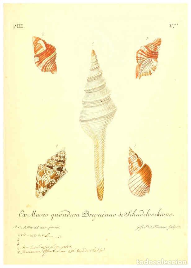 Coleccionismo de Revistas y Peri&oacute;dicos: Reproducci&oacute;n/Reproduction 6096636392: Vergn&uuml;gen der Augen und des Gem&uuml;ths. v.2 atlas. [Nuremberg :17