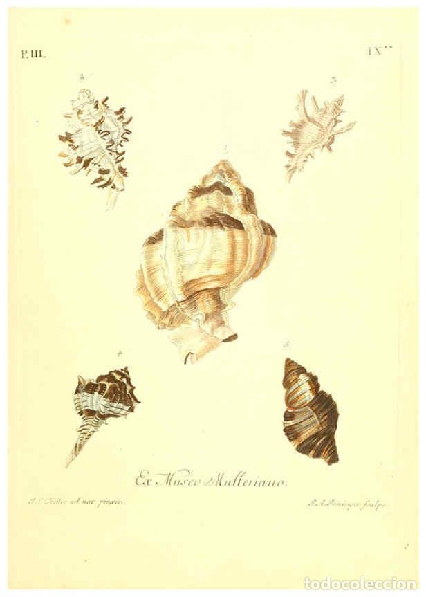 Coleccionismo de Revistas y Peri&oacute;dicos: Reproducci&oacute;n/Reproduction 6096092757: Vergn&uuml;gen der Augen und des Gem&uuml;ths. v.2 atlas. [Nuremberg :17