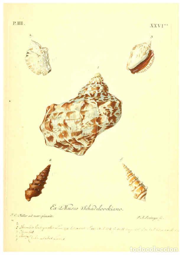 Coleccionismo de Revistas y Peri&oacute;dicos: Reproducci&oacute;n/Reproduction 6096097555: Vergn&uuml;gen der Augen und des Gem&uuml;ths. v.2 atlas. [Nuremberg :17