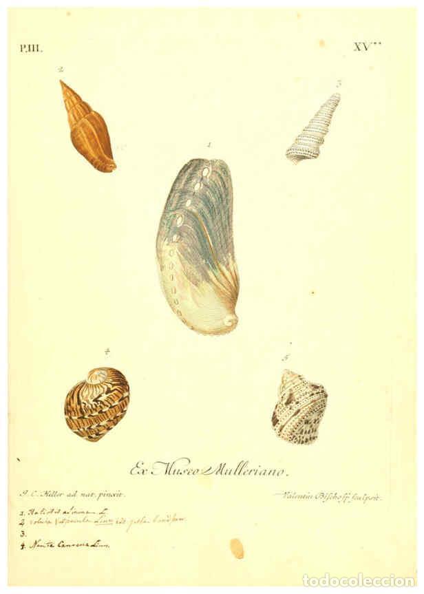 Coleccionismo de Revistas y Peri&oacute;dicos: Reproducci&oacute;n/Reproduction 6096094509: Vergn&uuml;gen der Augen und des Gem&uuml;ths. v.2 atlas. [Nuremberg :17