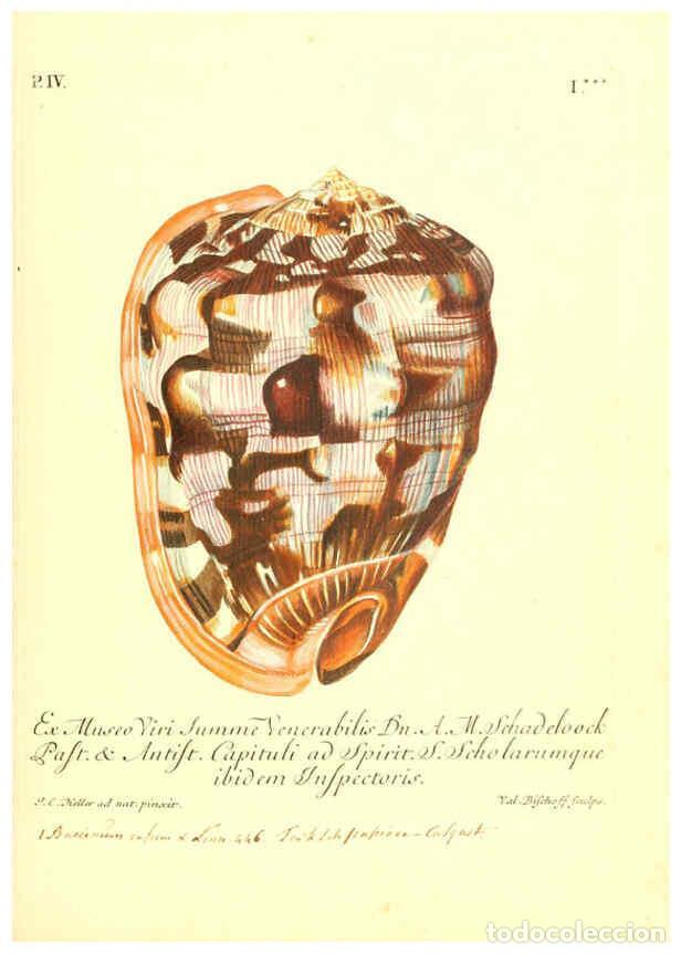 Coleccionismo de Revistas y Peri&oacute;dicos: Reproducci&oacute;n/Reproduction 6096643034: Vergn&uuml;gen der Augen und des Gem&uuml;ths. v.2 atlas. [Nuremberg :17