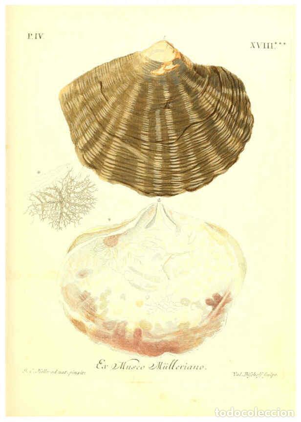 Coleccionismo de Revistas y Peri&oacute;dicos: Reproducci&oacute;n/Reproduction 6096647144: Vergn&uuml;gen der Augen und des Gem&uuml;ths. v.2 atlas. [Nuremberg :17