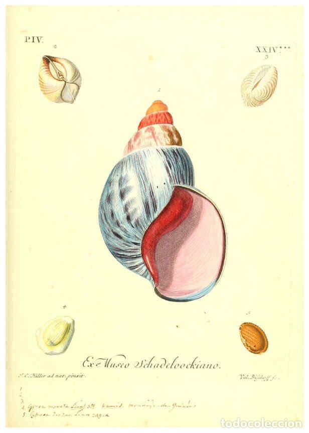 Coleccionismo de Revistas y Peri&oacute;dicos: Reproducci&oacute;n/Reproduction 6096104201: Vergn&uuml;gen der Augen und des Gem&uuml;ths. v.2 atlas. [Nuremberg :17