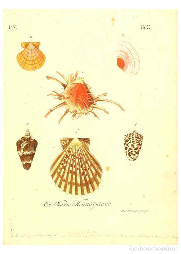 Coleccionismo de Revistas y Peri&oacute;dicos: Reproducci&oacute;n/Reproduction 6096652728: Vergn&uuml;gen der Augen und des Gem&uuml;ths. v.2 atlas. [Nuremberg :17