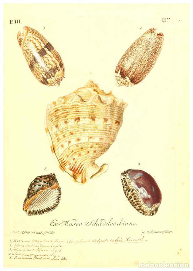 Collectionnisme de Revues et Journaux: Reproducci&oacute;n/Reproduction 6096091003: Vergn&uuml;gen der Augen und des Gem&uuml;ths. v.2 atlas. [Nuremberg :17