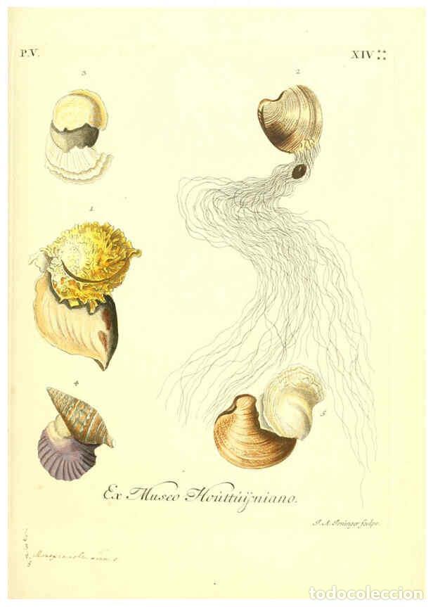 Collectionnisme de Revues et Journaux: Reproducci&oacute;n/Reproduction 6096654146: Vergn&uuml;gen der Augen und des Gem&uuml;ths. v.2 atlas. [Nuremberg :17