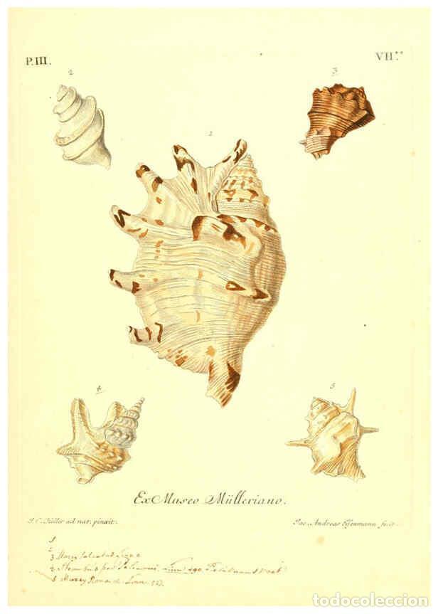 Collectionnisme de Revues et Journaux: Reproducci&oacute;n/Reproduction 6096636904: Vergn&uuml;gen der Augen und des Gem&uuml;ths. v.2 atlas. [Nuremberg :17
