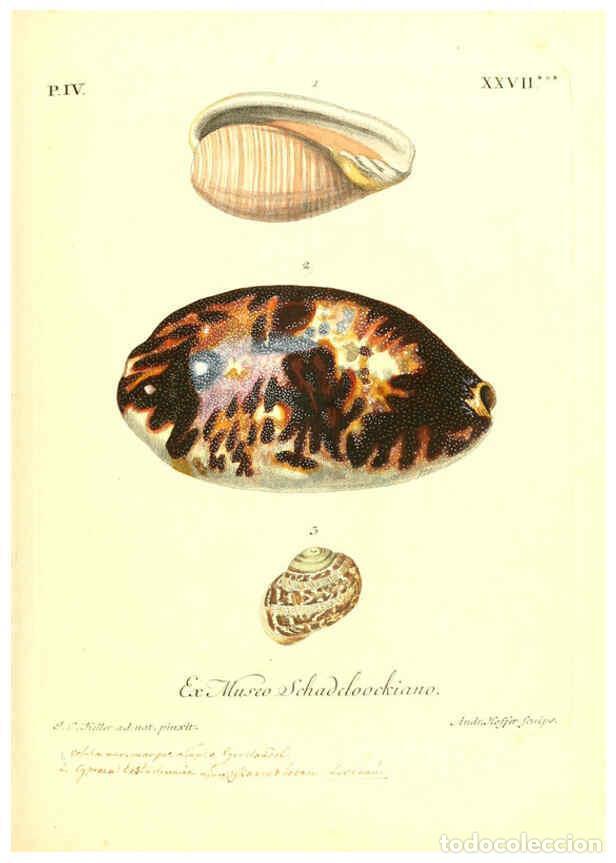 Collectionnisme de Revues et Journaux: Reproducci&oacute;n/Reproduction 6096649366: Vergn&uuml;gen der Augen und des Gem&uuml;ths. v.2 atlas. [Nuremberg :17