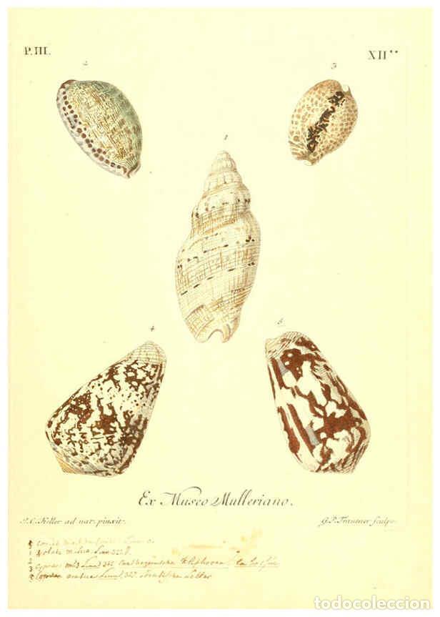 Collectionnisme de Revues et Journaux: Reproducci&oacute;n/Reproduction 6096093647: Vergn&uuml;gen der Augen und des Gem&uuml;ths. v.2 atlas. [Nuremberg :17