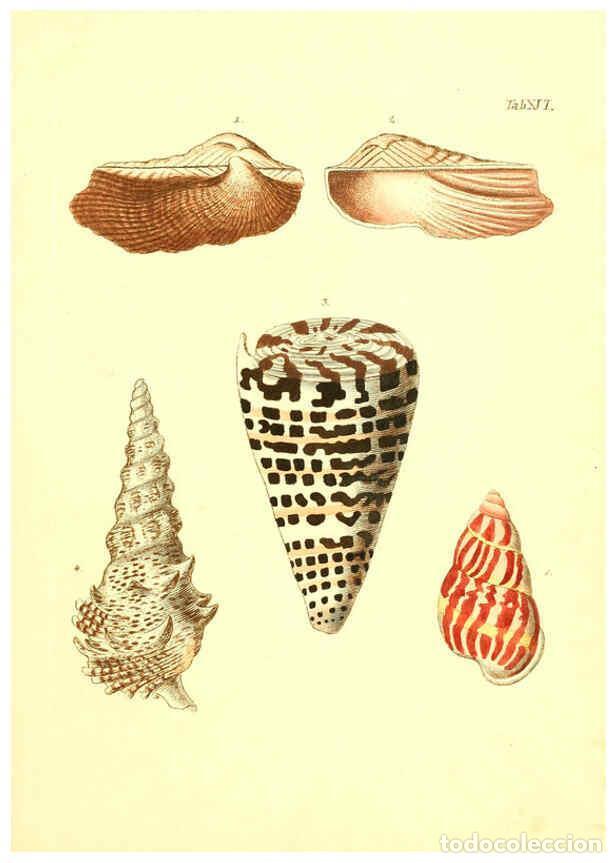 Collectionnisme de Revues et Journaux: Reproducci&oacute;n/Reproduction 6096078999: Vergn&uuml;gen der Augen und des Gem&uuml;ths. v.2 atlas. [Nuremberg :17