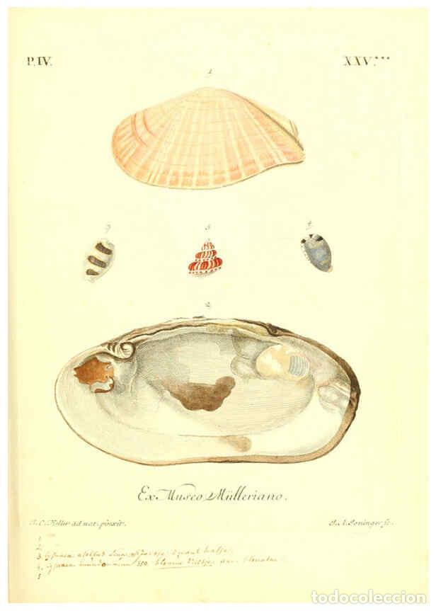 Collectionnisme de Revues et Journaux: Reproducci&oacute;n/Reproduction 6096648940: Vergn&uuml;gen der Augen und des Gem&uuml;ths. v.2 atlas. [Nuremberg :17