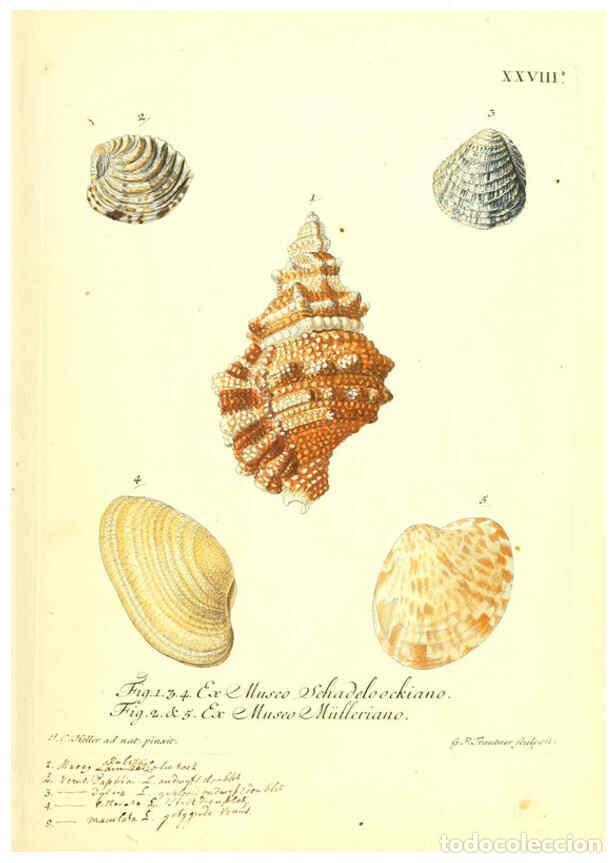 Collectionnisme de Revues et Journaux: Reproducci&oacute;n/Reproduction 6096634498: Vergn&uuml;gen der Augen und des Gem&uuml;ths. v.2 atlas. [Nuremberg :17