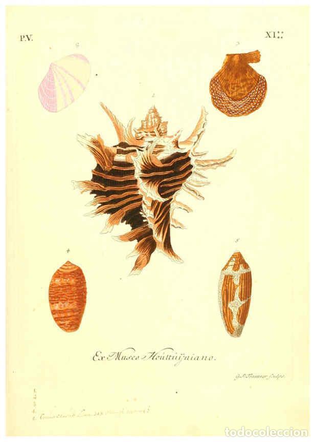 Collectionnisme de Revues et Journaux: Reproducci&oacute;n/Reproduction 6096653174: Vergn&uuml;gen der Augen und des Gem&uuml;ths. v.2 atlas. [Nuremberg :17