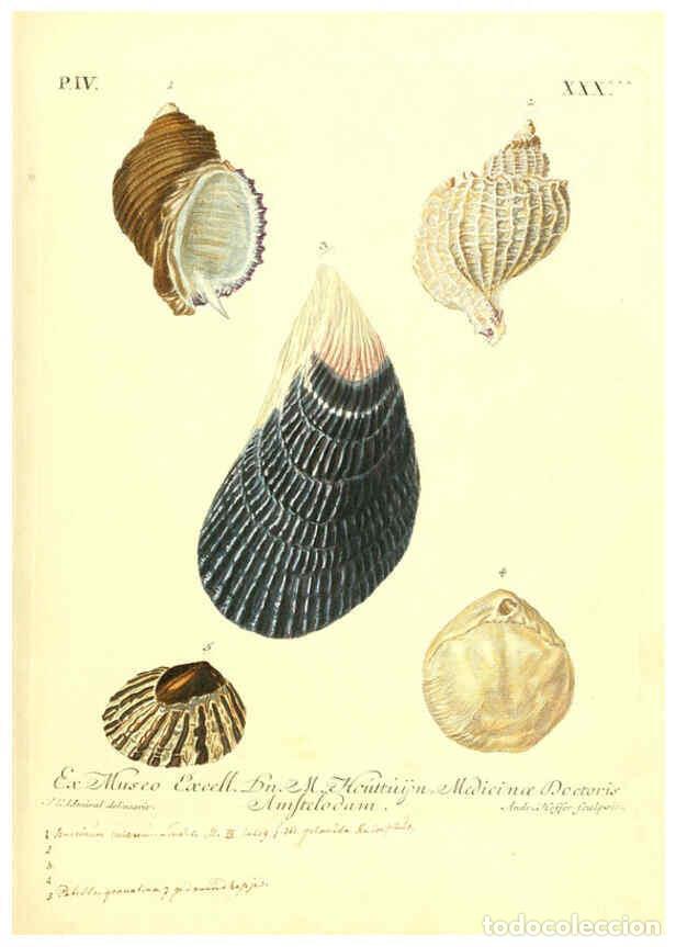 Collectionnisme de Revues et Journaux: Reproducci&oacute;n/Reproduction 6096650218: Vergn&uuml;gen der Augen und des Gem&uuml;ths. v.2 atlas. [Nuremberg :17