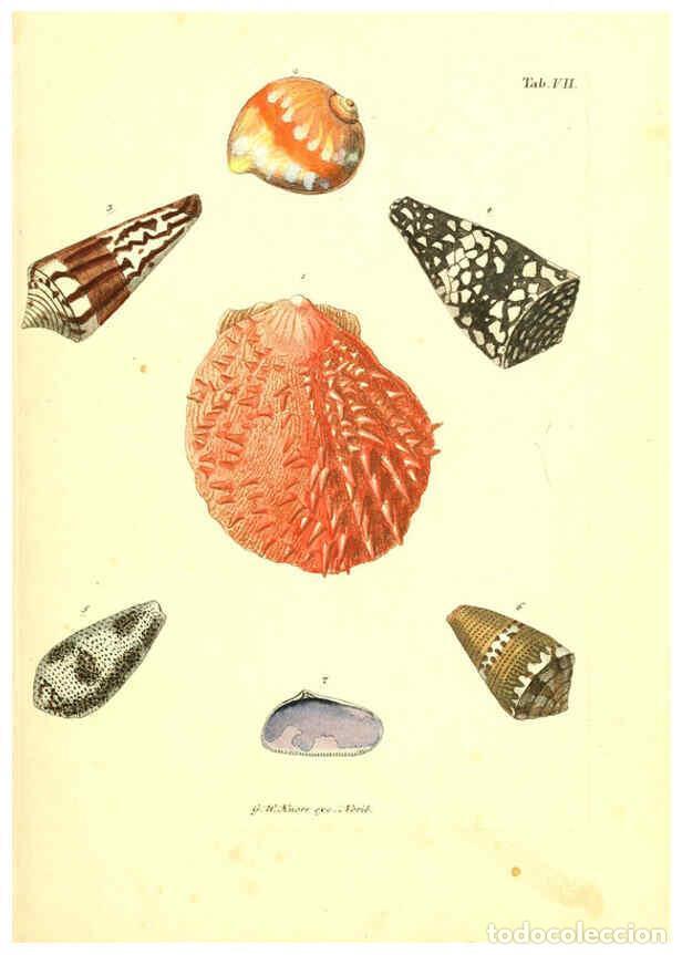 Collectionnisme de Revues et Journaux: Reproducci&oacute;n/Reproduction 6096076457: Vergn&uuml;gen der Augen und des Gem&uuml;ths. v.2 atlas. [Nuremberg :17