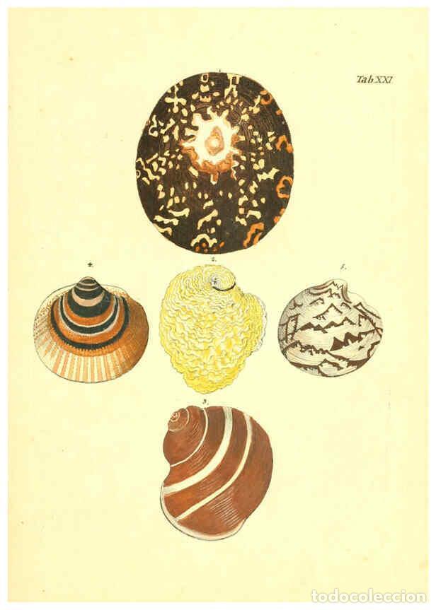 Collectionnisme de Revues et Journaux: Reproducci&oacute;n/Reproduction 6096624954: Vergn&uuml;gen der Augen und des Gem&uuml;ths. v.2 atlas. [Nuremberg :17