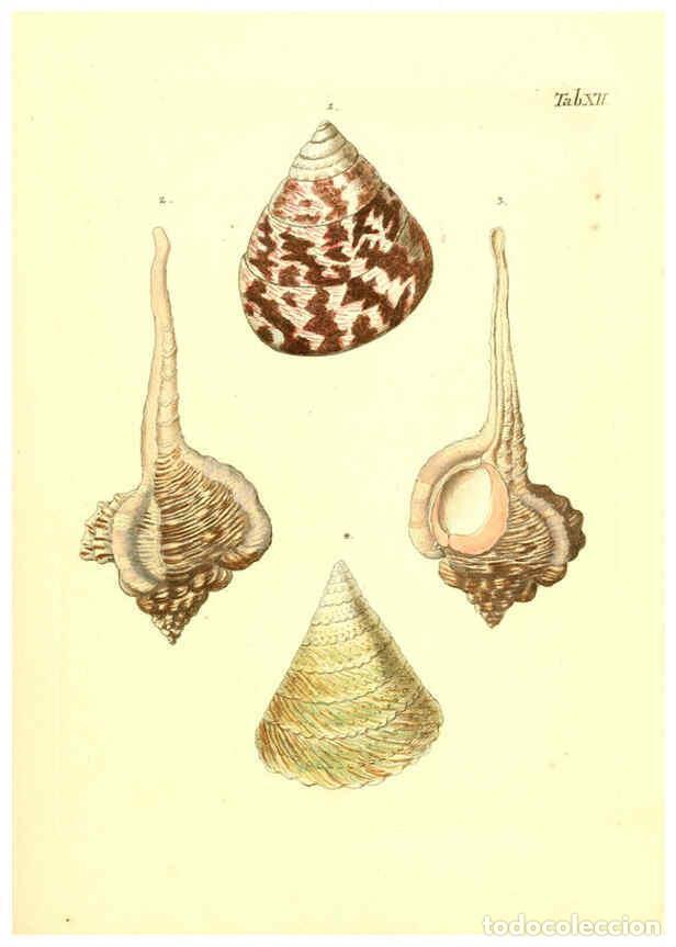 Collectionnisme de Revues et Journaux: Reproducci&oacute;n/Reproduction 6096077795: Vergn&uuml;gen der Augen und des Gem&uuml;ths. v.2 atlas. [Nuremberg :17