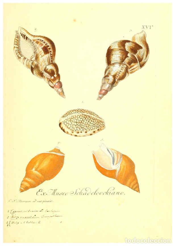 Collectionnisme de Revues et Journaux: Reproducci&oacute;n/Reproduction 6096086923: Vergn&uuml;gen der Augen und des Gem&uuml;ths. v.2 atlas. [Nuremberg :17