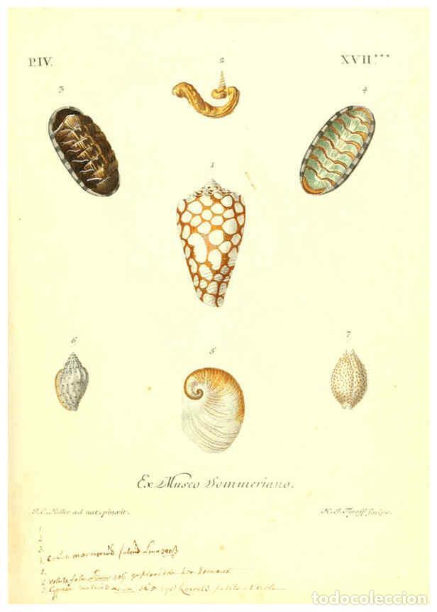 Collectionnisme de Revues et Journaux: Reproducci&oacute;n/Reproduction 6096102511: Vergn&uuml;gen der Augen und des Gem&uuml;ths. v.2 atlas. [Nuremberg :17