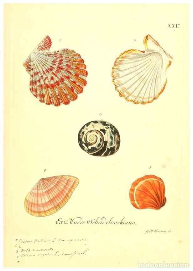 Collectionnisme de Revues et Journaux: Reproducci&oacute;n/Reproduction 6096632624: Vergn&uuml;gen der Augen und des Gem&uuml;ths. v.2 atlas. [Nuremberg :17