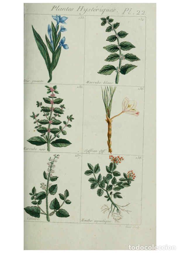 Collection Magazines and Newspapers: Reproducci&oacute;n/Reproduction 6103992282: Plantes usuelles, indig&egrave;nes et exotiques Paris :Duprat-Duverge