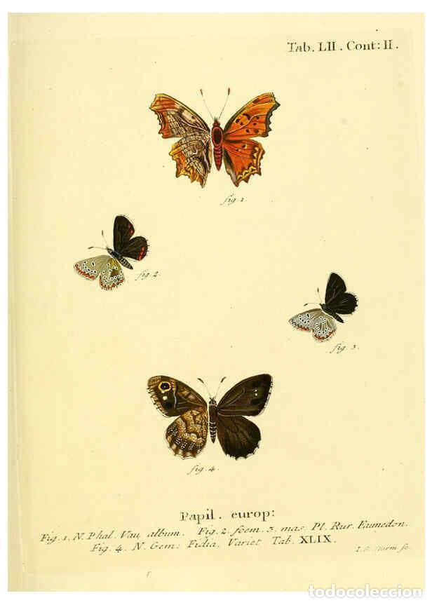 Collection Magazines and Newspapers: Reproducci&oacute;n/Reproduction 6102763095: Die Schmetterlinge in Abbildungen nach der Natur. v.1 plates.
