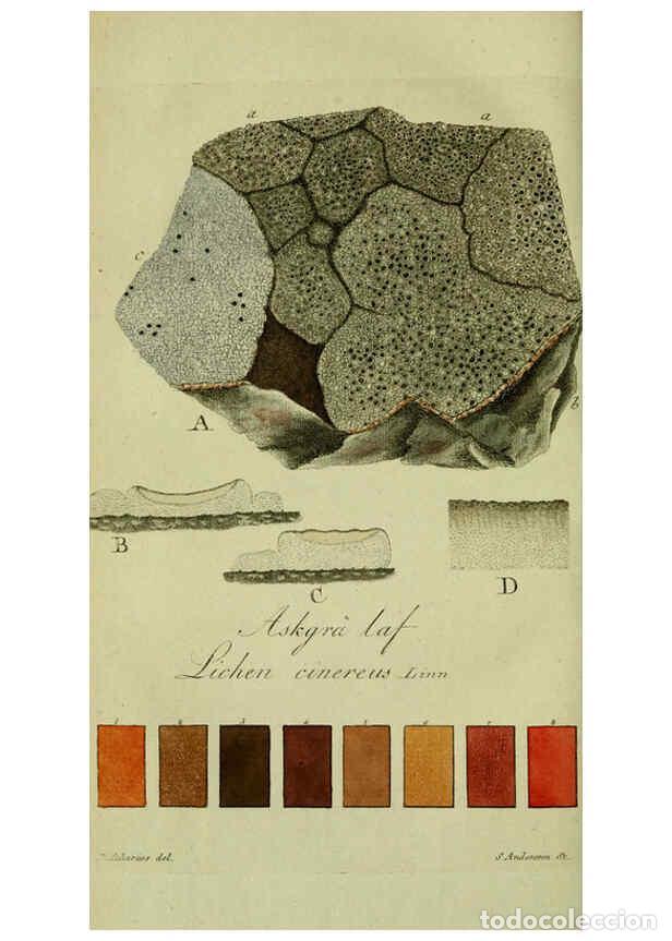 Collezionismo di Riviste e Giornali: Reproducci&oacute;n/Reproduction 6194459409: Svenska lafvarnas f&auml;rghistoria Stockholm :Tryckt hos C. Del&eacute;n,