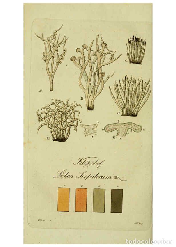 Collezionismo di Riviste e Giornali: Reproducci&oacute;n/Reproduction 6194460119: Svenska lafvarnas f&auml;rghistoria Stockholm :Tryckt hos C. Del&eacute;n,