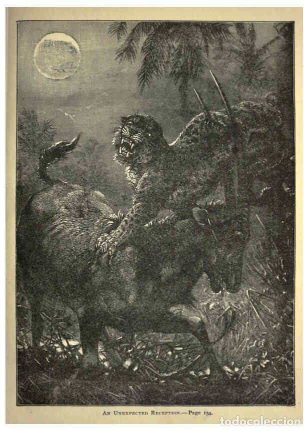 Colecionismo de Revistas e Jornais: Reproducci&oacute;n/Reproduction 6221062656: Forest and jungle, or, Thrilling adventures in all quarters of