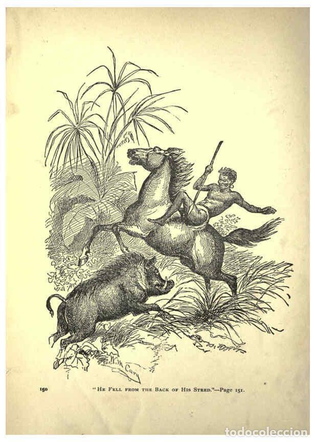 Colecionismo de Revistas e Jornais: Reproducci&oacute;n/Reproduction 6220542439: Forest and jungle, or, Thrilling adventures in all quarters of