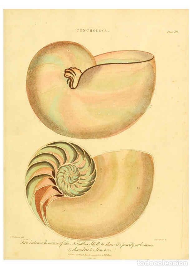 Collectionnisme de Revues et Journaux: Reproducci&oacute;n/Reproduction 6045705866: Encyclopaedia londinensis, or, Universal dictionary of arts, s