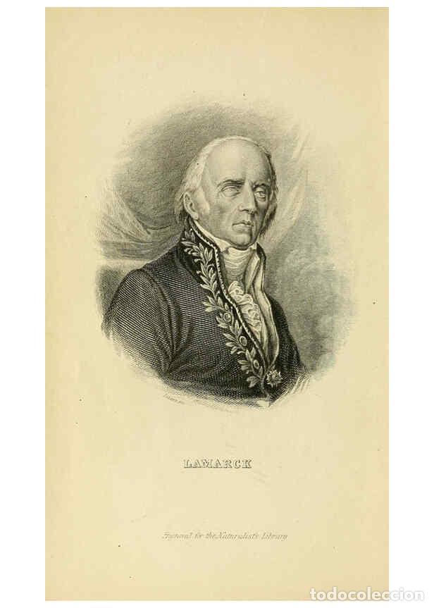 Collectionnisme de Revues et Journaux: Reproducci&oacute;n/Reproduction 6045541005: Foreign butterflies Edinburgh :Henry G. Bohn,1858 - James Dunc