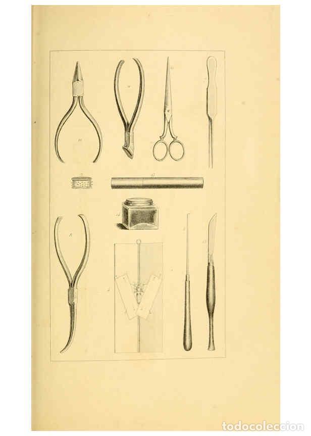 Colecionismo de Revistas e Jornais: Reproducci&oacute;n/Reproduction 6053789346: Histoire naturelle des l&eacute;pidopt&egrave;res d'Europe Paris :L. de Bure