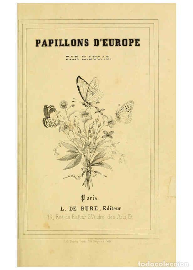 Collezionismo di Riviste e Giornali: Reproducci&oacute;n/Reproduction 6053174829: Histoire naturelle des l&eacute;pidopt&egrave;res d'Europe Paris :L. de Bure